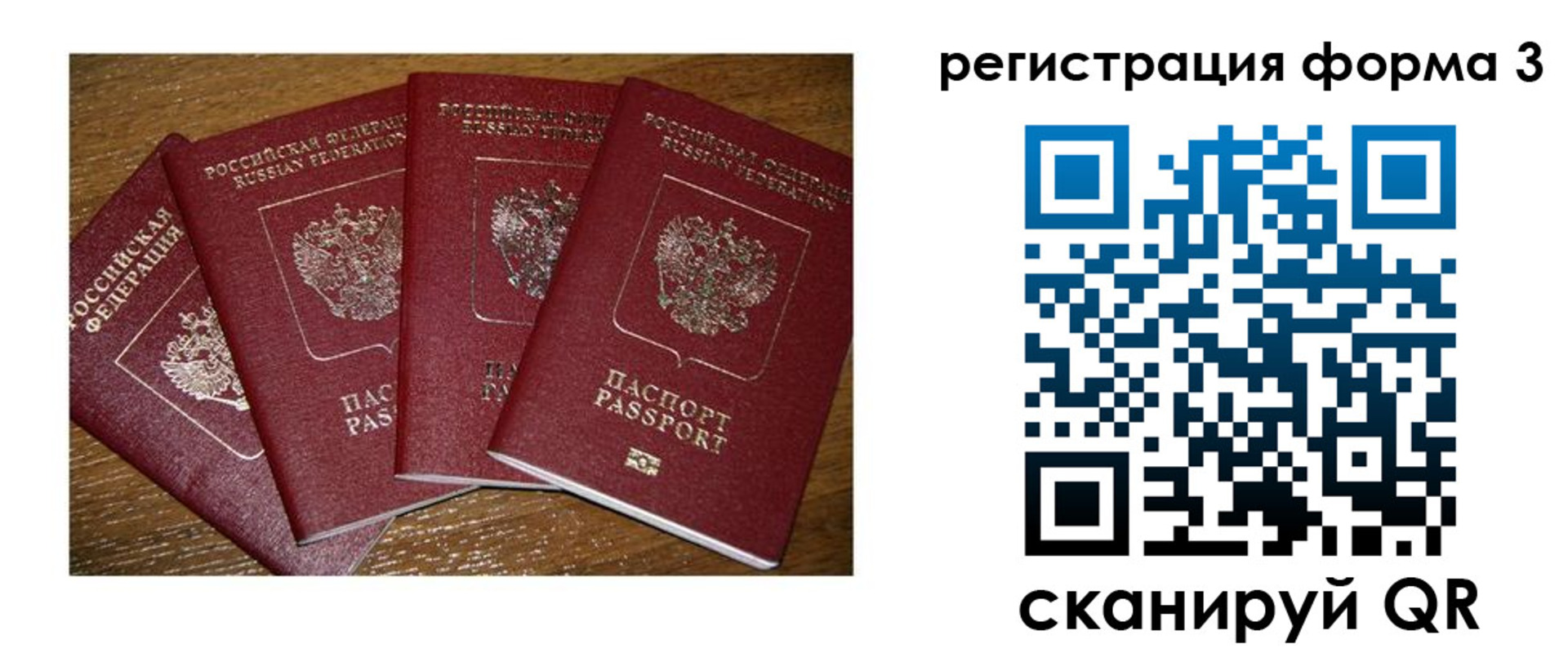 миграционный учет в Курской области